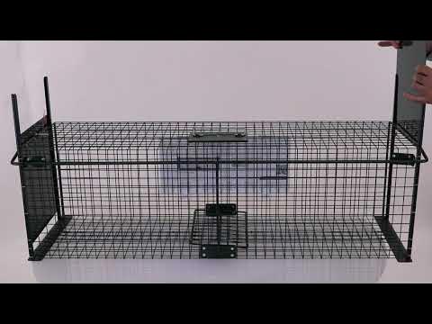 piège cage à rats 1 entrée - Ducatillon