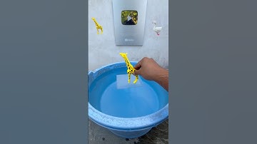 TRY TO GUESS HOW MANY TISSUE PAPER WILL FOLAT? What