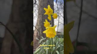 Spring ASMR with Alana