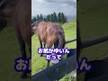こんちわ〜w