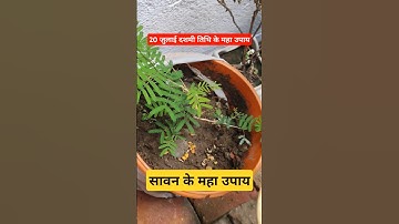 दशमी तिथि के महा उपाय। 20 जुलाई के महा उपाय #upay#pandit_pradeep_ji_mishra #shorts#ytshorts#viral