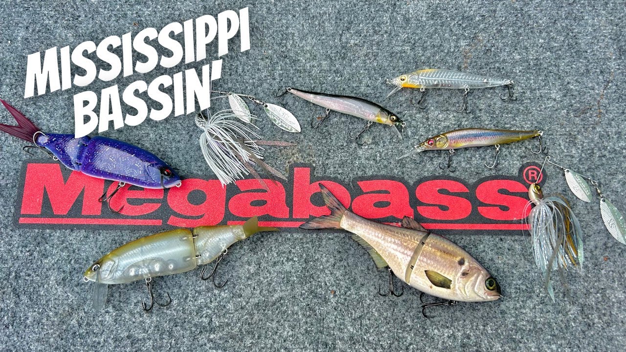 Early Spring Mississippi River Bass Fishing