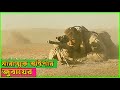 স্নাইপার জুবায়ের ভয়ে কাপ তো আমেরিকান সৈনিকেরা | The Wall Movie Explained In Bangla.
