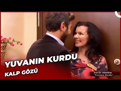 Yuvanın Kurdu - Kalp Gözü