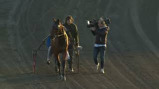 Vidéo de la course PMU REBUFF'S STOSERIE - OMGANG 4