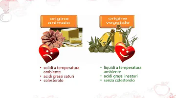 Che cosa sono i grassi?