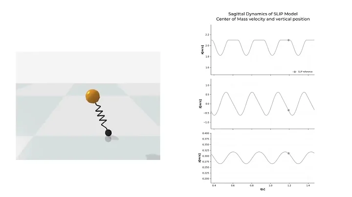 Spring Loaded Inverted Pendulum