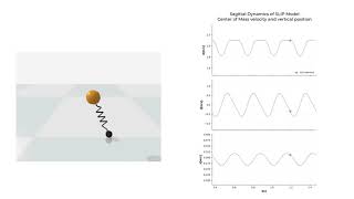 Spring Loaded Inverted Pendulum