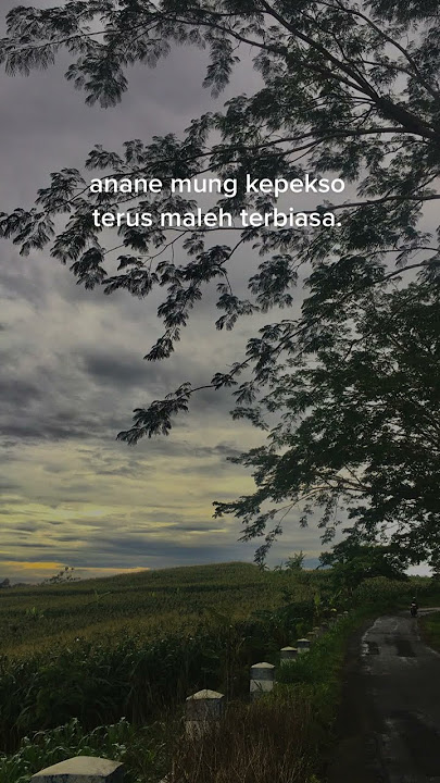 Story Raiso Ikhlas Lagu Northsle Ft.Agif ~ Tresno Liyane / Kata Kata Acak Aesthetic.