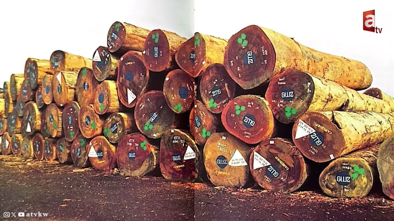 بغلة الهاشمي 2 .. أكبر سفينة خشبية في العالم..  شارك في بنائها أكثر من 300 نجار!