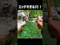 えちえちな川で竿を出すと…! #shorts