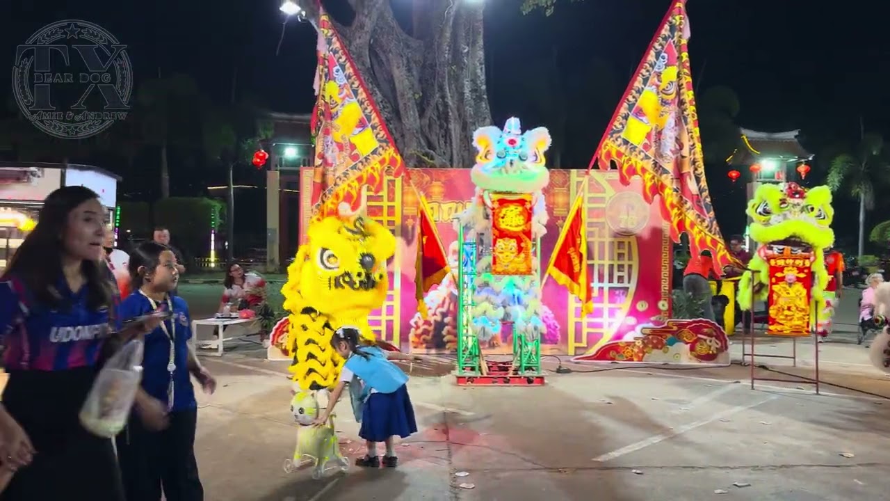 คืนเปิดงานเทศกาลตรุษจีน, Opening Night of Lunar New Year Festival 2026 #lunarnewyear2026 #ตรุษจีน 