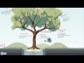 How to Start a Home Daycare How to Start a Home Daycare