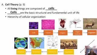 Biology The Study of Life Chapter 1 BI 114