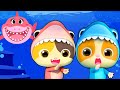 Dançando com o Bebê Tubarão (Baby Shark) | Historinhas e Músicas Infantis | BabyBus Português