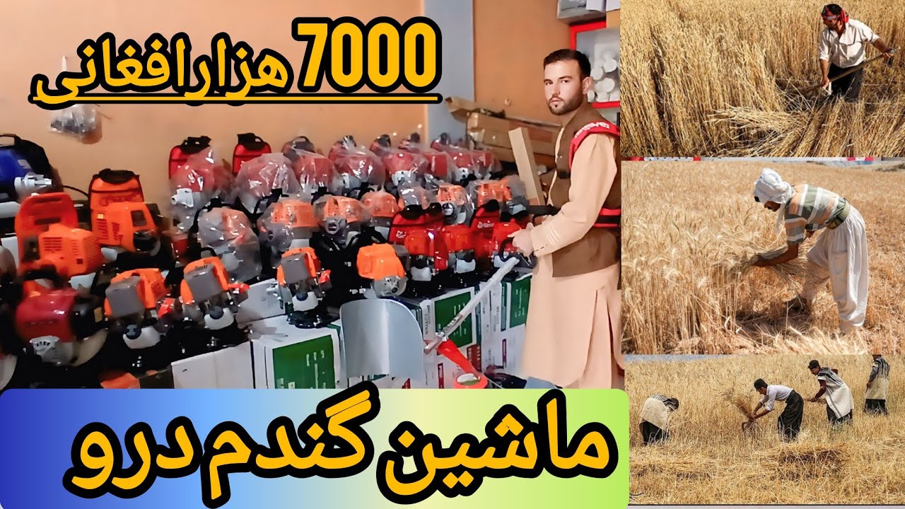 گزارش حیات الله 