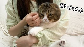 甘えん坊猫を放ったらかしてトイレ掃除をしていたら外ではこうなっていました…泣