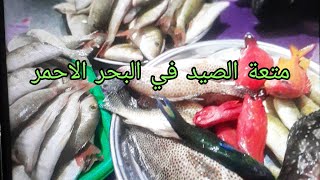 لن تصدق انواع السمك لي اصطادها زوجي المصري من البحر الاحمر#مغربية_بمصر#