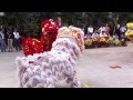 cambodia lion dance