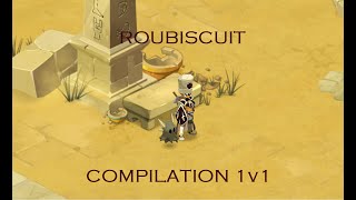 ROUBISCUIT - COMPILATION ROUBLARD (4) DOFUS