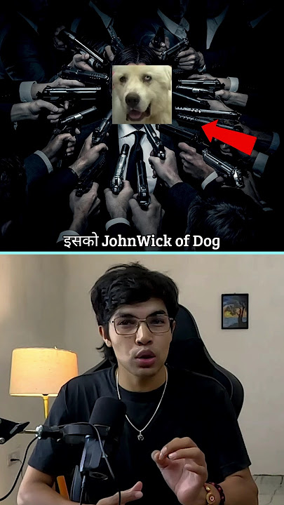 Casper : John Wick of Dog...