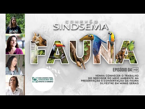 Conexão Sindsema EP 04 - Preservação e Conservação da Fauna Silvestre em Minas Gerais Conexão Sindsema EP 04 - Preservação e Conservação da Fauna Silvestre em Minas Gerais