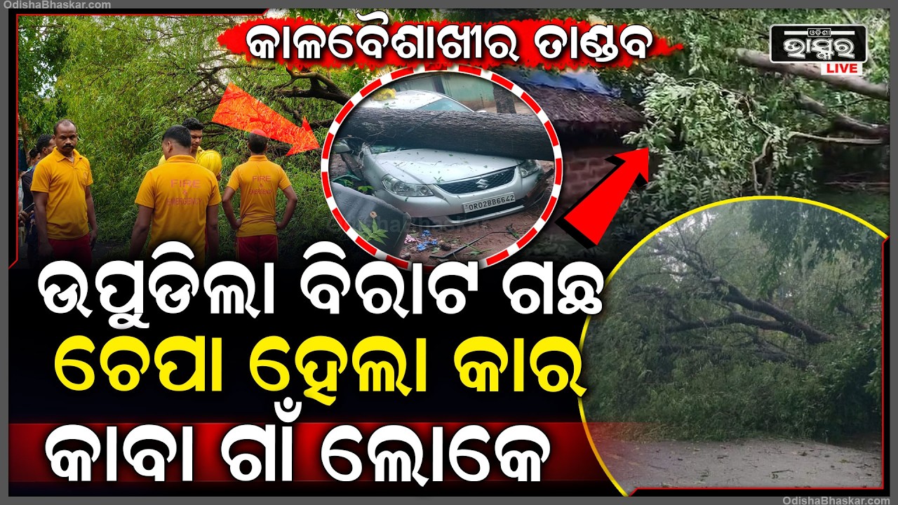 କାଳବୈଶାଖୀର ତାଣ୍ଡବ, ଉପୁଡିଲା ବିରାଟ ଗଛ ଚେପା ହେଲା କାର...କାବା ଗାଁ ଲୋକେ