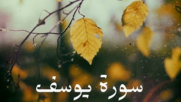 سورة يوسف كاملة للشيخ هاني الرفاعي بصوت عذب و جميل و تلاوة رائعة و بدقة عالية ... توقف و أرح قلبك