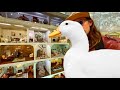 I took my duck to a tiny museum