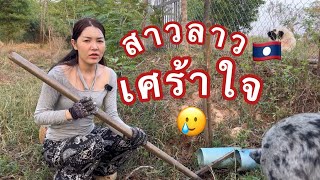 วิกฤตของสาวลาวที่น่าเป็นห่วง ทำทุกอย่างเพื่อความอยู่รอด|ສາວລາວກຸ້ມໃຈ