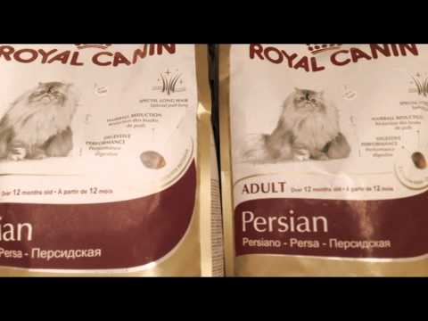 مركز الاسكندريه للحيوانات الاليفه دكتور محمد على سلامه اخصائي طب وجراحة الحيوان عياده بيطريه