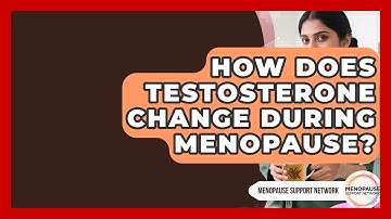 How Does Testosterone Change During Menopause? - Menopause Support Network
