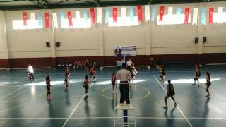 Tanyıldızı voleybol takımı