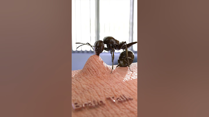 Stunning Way Ants Bite