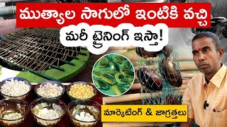 Pearl Farming in Telugu | How To Grow Pearl Farming at Home | Pearl Farming Profits