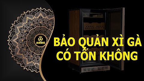 Bảo quản x.ì g.à có tốn không | Những điều thú vị về x.ì g.à Phần 17 | Ambe