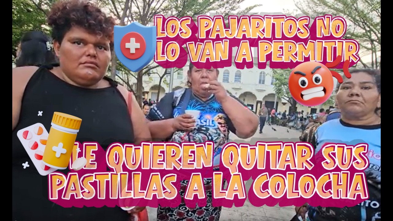 LE VAN A QUITAR SUS PASTILLAS A LA COLOCHA