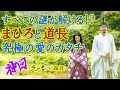 神回!『光る君へ』第42回「川辺の誓い」雑談