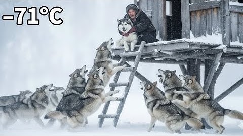 Building a Treehouse to Survive the Blizzard | Off Grid Life in a Frozen World