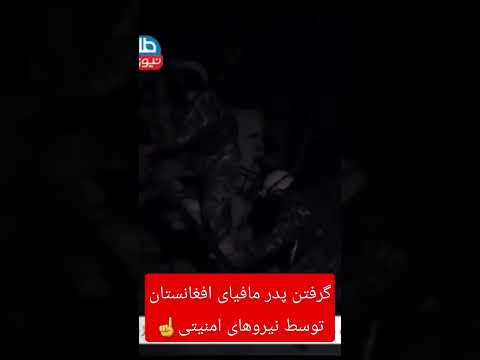 گرفتاری پدر مافیای افغانستان توسط نیروهای امنیتی Shorts