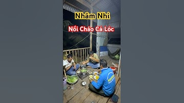 Nhâm Nhi Nồi Cháo Cá Lóc Buổi Tối #food #huongviquehuong #queochannel #amthuc #mientay #vlog #shorts