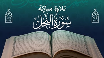 تلاوة مباركة | مجموعة من قراء اليمن | الحزب الثامن والعشرون - الجزء الرابع عشر