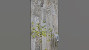 Marble reverse video ! yellow green #483