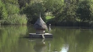 Elvetham Heath Nature Reserve