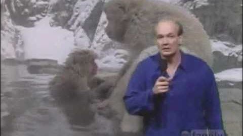 Whose Line Is It Anyway? - Newsflash