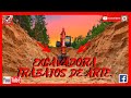 📢 Excavadora haciendo trabajos de arte 📢