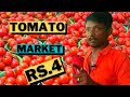 Biggest tomato wholesale market in tamilnadu  tomato export to dubai  tomato business krishnagiri