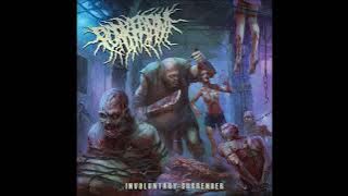 Porkfarm - Involuntary Surrender [FULL ALBUM PREMIERE]