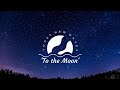 Yogee New Waves - To The Moon (Lyrics)