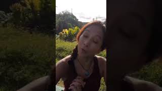 💐 Downtown HILO, Hawaii: Part 1; #jowanderingpractitioner; #jocastanares